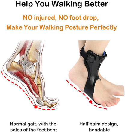 Foot Drop Support Brace – Walking Assistance for Foot Injury Patients, Safe & Stable Support